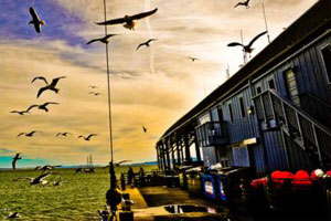 引爆行业革新的短信电话云轰炸